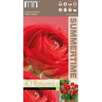 Лютиче Червено / Ranunculus Red - 10 бр луковици