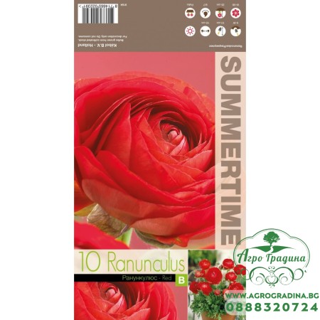 Лютиче Червено / Ranunculus Red - 10 бр луковици