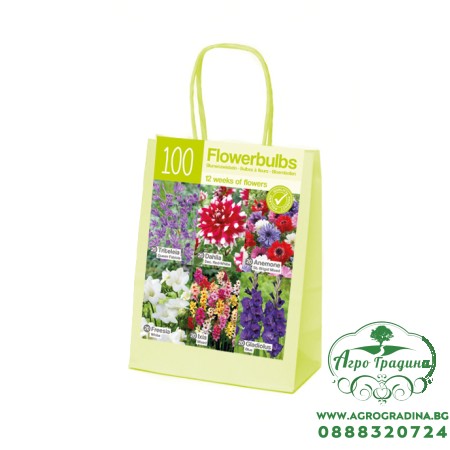 Чанта Червено-Бяло-Синьо Микс XL / Red-white-blue - 100 бр луковици