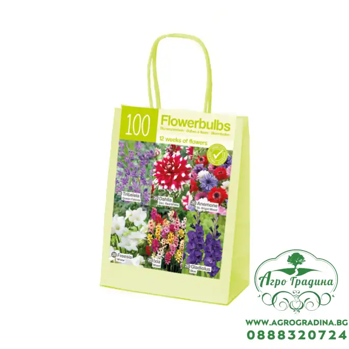 Чанта Червено-Бяло-Синьо Микс XL / Red-white-blue - 100 бр луковици