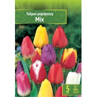 Лале Микс / Tulipa Mix - 5 бр луковици