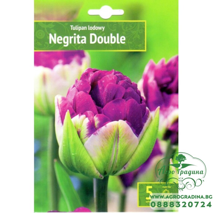 Лале Негрита Дабъл Tulipa Negrita Double - 5 бр луковици Лале Негрита Дабъл Tulipa Negrita Double - 5 бр луковици