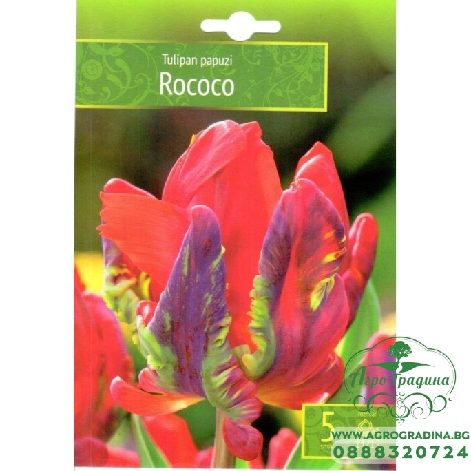 Лале Рококо / Tulipa Rococo - 5 бр луковици Лале Рококо / Tulipa Rococo - 5 бр луковици