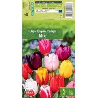 Лале Триумф Микс / Tulipa Triumph Mix - 5 бр луковици