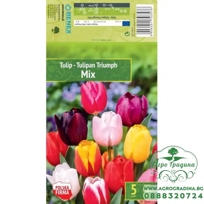 Лале Триумф Микс / Tulipa Triumph Mix - 5 бр луковици Лале Триумф Микс / Tulipa Triumph Mix - 5 бр луковици