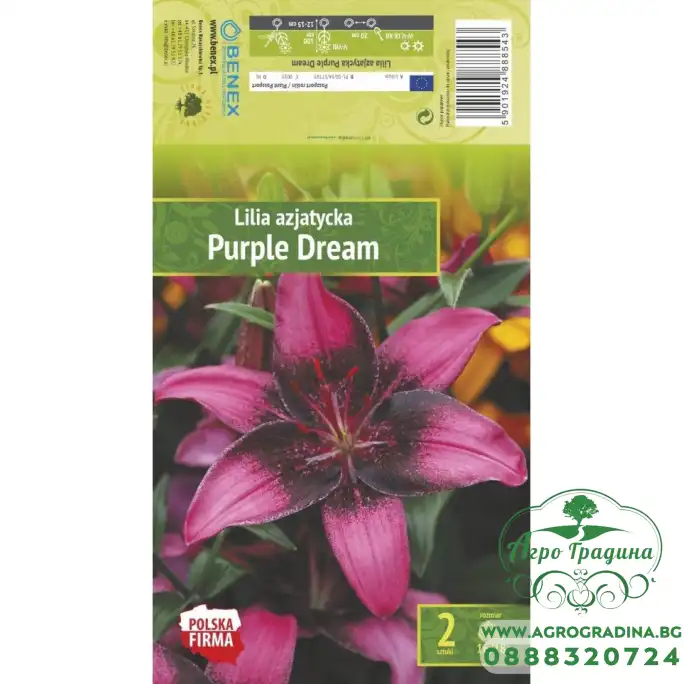 Лилиум Лилава мечта Lilium Purple Dream - 2 бр луковици Лилиум Лилава мечта Lilium Purple Dream - 2 бр луковици