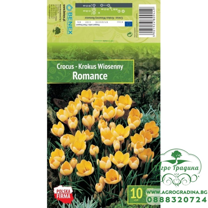 Минзухар Романс / Crocus Romance - 10 бр луковици