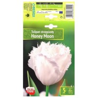 Лале Меден месец Tulipа Honey Moon - 5 бр луковици
