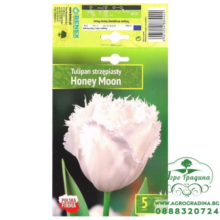 Лале Меден месец / Tulipа Honey Moon - 5 бр луковици