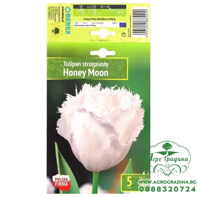 Лале Меден месец Tulipа Honey Moon - 5 бр луковици