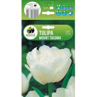 Лале Маунт Такома Tulipa Mount Tacoma - 5 бр луковици