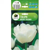 Лале Маунт Такома Tulipa Mount Tacoma - 5 бр луковици