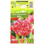 Лале Qatar Tulipa - 5 бр луковици