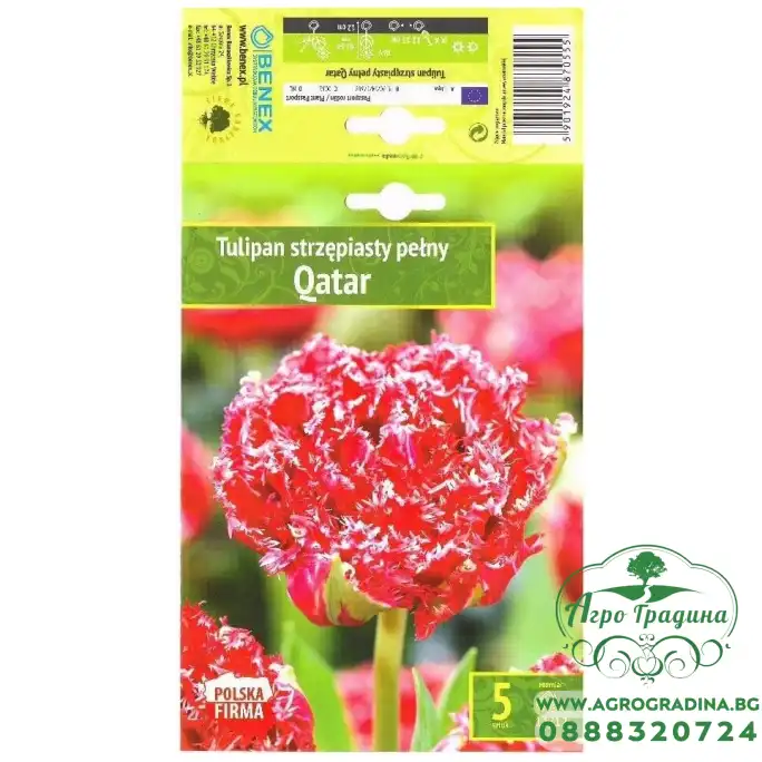 Лале Qatar Tulipa - 5 бр луковици Лале Qatar Tulipa - 5 бр луковици