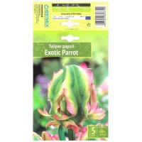 Лале Exotic Parrot Tulipa - 5 бр луковици