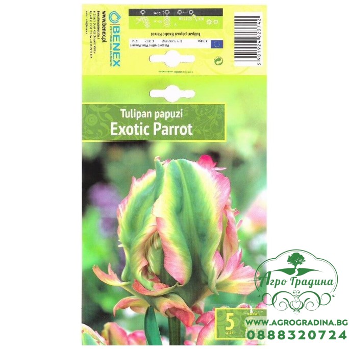 Лале Exotic Parrot Tulipa - 5 бр луковици