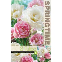 Лале Микс Анжелик / Маунт Такома / Tulipa MIX Angelique / Mount Tacoma - 8 бр луковици