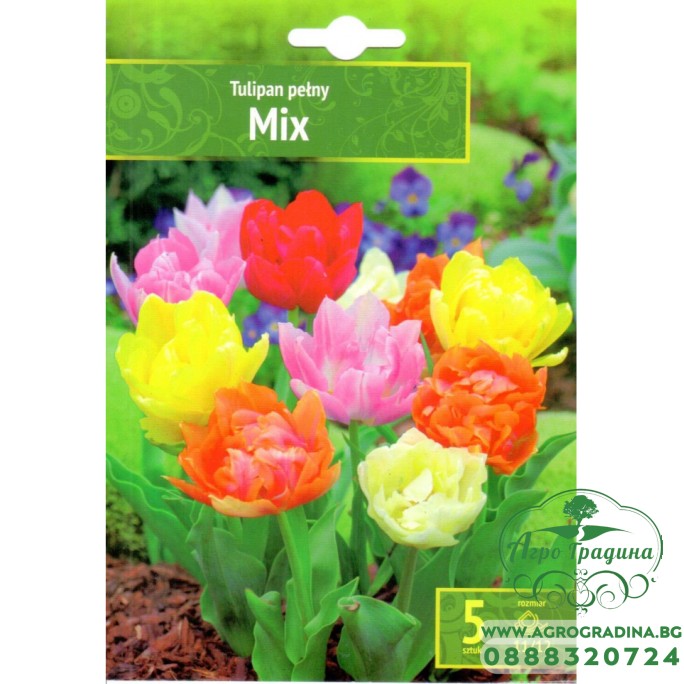 Лале Микс Пелини Tulipa Mix Pelny - 5 бр луковици – Есенни луковици