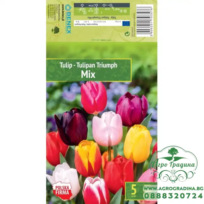Лале Микс Триумф Tulipа Mix Triumph - 5 бр луковици