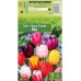 Лале Микс Триумф / Tulipа Mix Triumph - 5 бр луковици