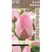 Лале Mystic van Eijk Tulipa - 8 бр луковици