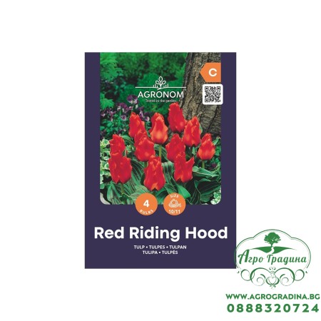 Лале Червената шапчица / Tulipa Red Riding Hood - AGRONOM - 4 бр луковици