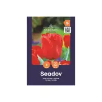 Лале Сеадов / Tulipa Seadov - AGRONOM - 4 бр луковици
