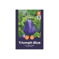 Лале Триумф Блу / Tulipa Triumph Blue - AGRONOM - 4 бр луковици