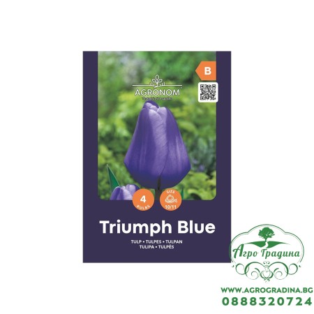 Лале Триумф Блу / Tulipa Triumph Blue - AGRONOM - 4 бр луковици