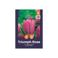 Лале Триумф Роуз / Tulipa Triumph Rose - AGRONOM - 4 бр луковици