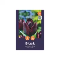 Лале Черно / Tulip Black - AGRONOM - 4 бр луковици