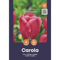 Лале Карола / Tulip Carola - AGRONOM - 4 бр луковици