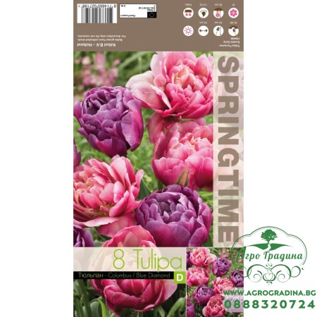 Лале Микс Колумб / Син диаманд / Tulipa MIX Columbus / Blue Diamond - 8 бр луковици