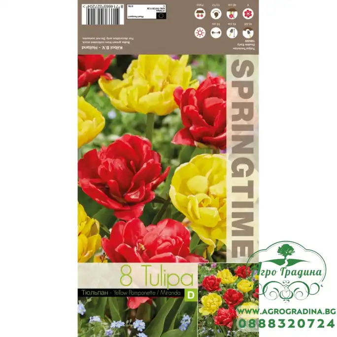 Лале Микс Жълт Помпон Миранда Tulipa MIX Yellow Pomponette Miranda - 8 бр луковици