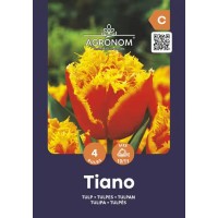 Лале Тиано / Tulip Tiano - AGRONOM - 4 бр луковици