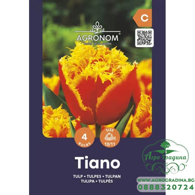 Лале Тиано / Tulip Tiano - AGRONOM - 4 бр луковици