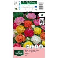 Лютиче Микс Ranunculus - 7 бр луковици