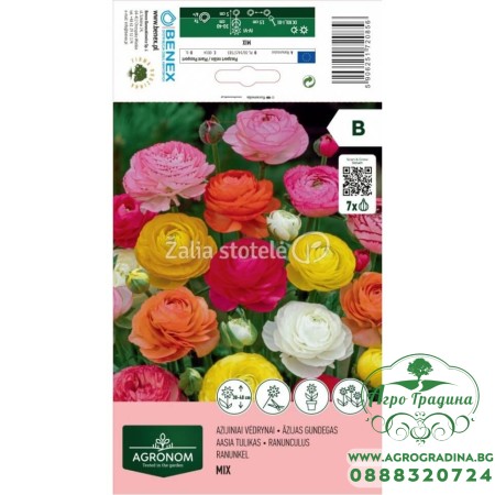 Лютиче Микс Ranunculus - 7 бр луковици
