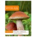 Мицел за Червена Манатарка (Leccinum aurantiacum)