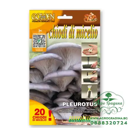 Мицелови дибли за Кладница (Pleurotus ostreatus) - 20 бр