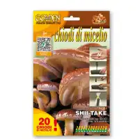 Мицелови дибли за Шийтаке/ Shii-take (Lentinula edodes) - 20 бр