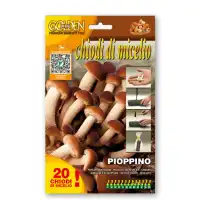 Мицелови дибли за Тополова гъба (Cyclocybe cylindracea / Cyclocybe aegerit ) - 20 бр