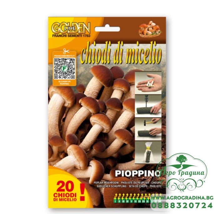 Мицелови дибли за Тополова гъба (Cyclocybe cylindracea Cyclocybe aegerit ) - 20 бр – Мицел за гъби