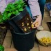Контейнер за отглеждане на картофи GrowInPot – Комплекти