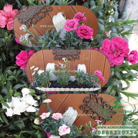 Комплект Саксия (Кашпа) с куки 39 см + Карамфилчета