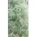 Разсад Сладък Пелин Artemisia annua - билката която мори РАКА