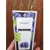 Разсад Американска Боровинка Блуголд Vaccinium corymbosum Bluegold