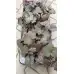 Разсад Хойхера - в саксия 10,5см