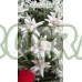 Еделвайс в саксия с ЦВЯТ сорт Edelweiss Stella Alpina white