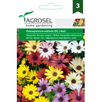 Африкански Маргаритки Микс / Osteospermum ecklonis